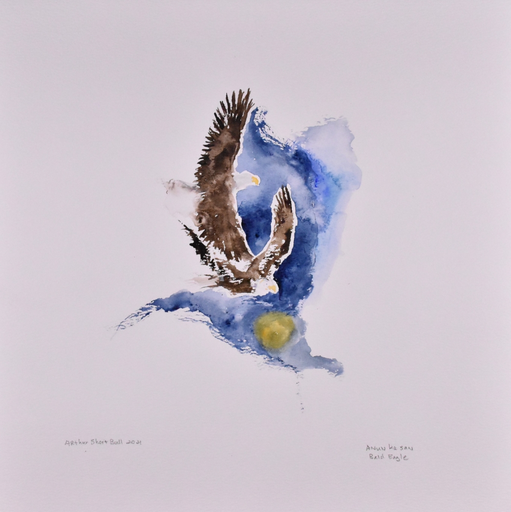 Bald Eagle
an&uacute;nkasan
Watercolor on paper, 12&rdquo; x 12&rdquo;
&copy; 2021 Arthur Short Bull