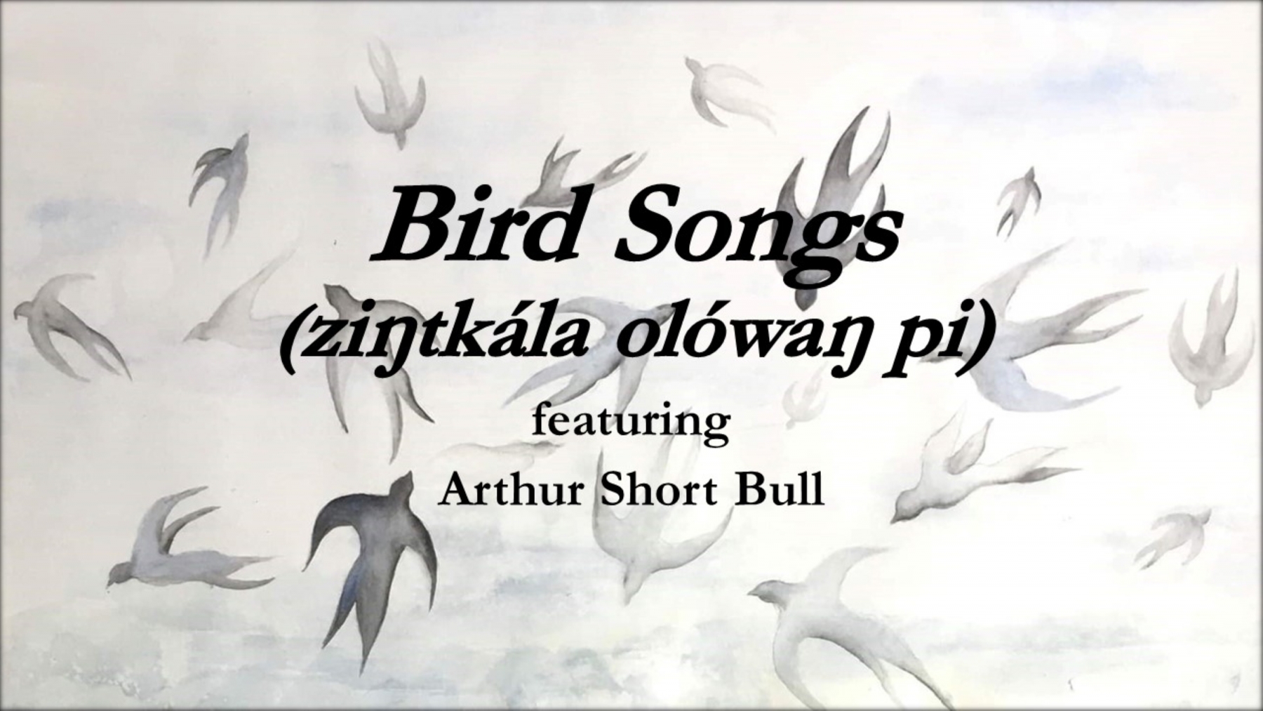 Bird Songs (ziŋtkála olówaŋ pi)