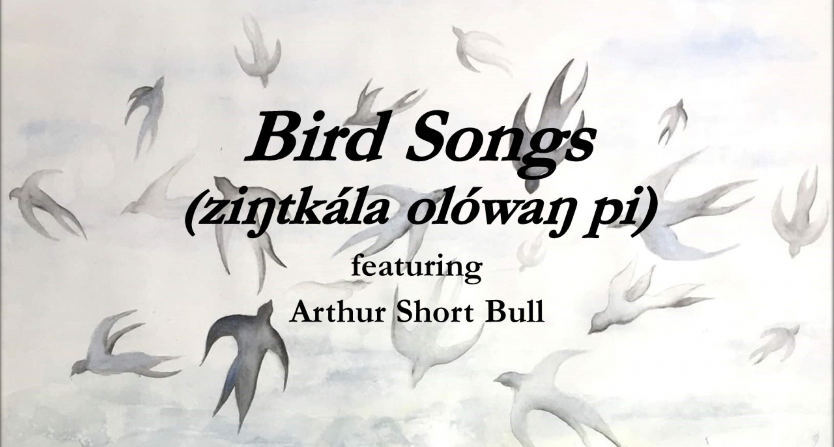 Bird Songs (ziŋtkála olówaŋ pi)